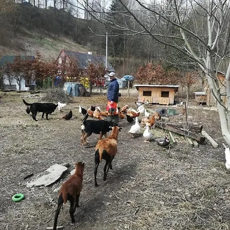Hospodarstvi Skalka